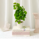 Artificial Plant